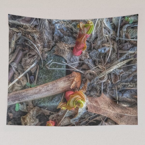 Item preview, Nature with a Twist designed and sold by giftoftradition.