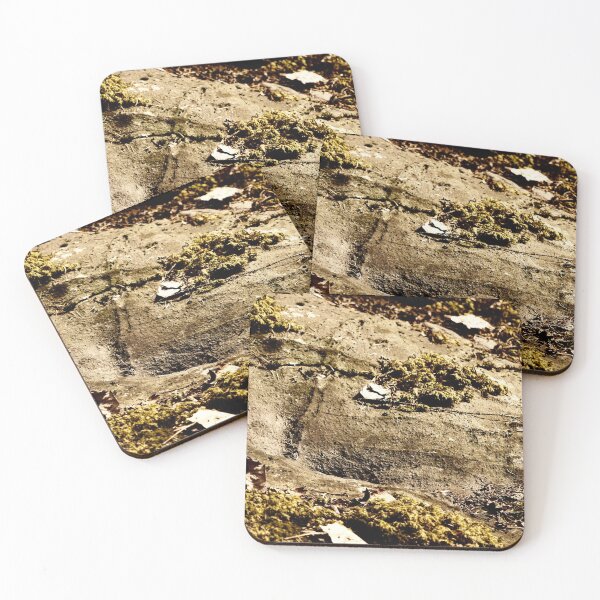 Item preview, Cup stone. Ancient tomb area from Iron Age. Paivaniemi designed and sold by Jouko Lehto Photography.