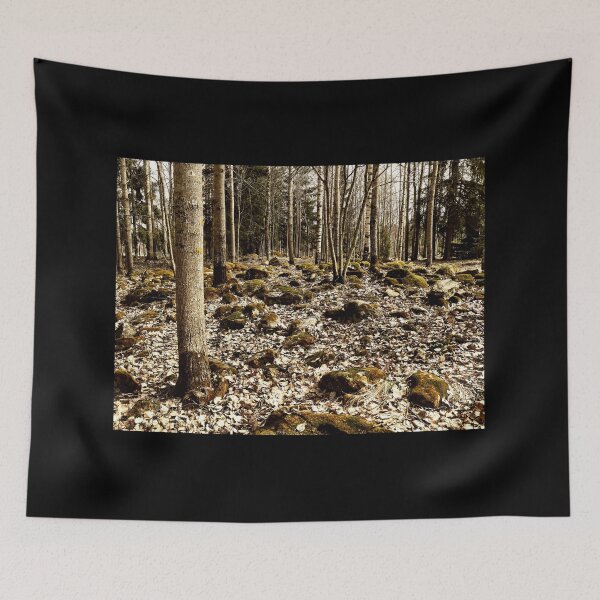 Item preview, Ancient tomb area from Iron Age. Paivaniemi 2 designed and sold by Jouko Lehto Photography.
