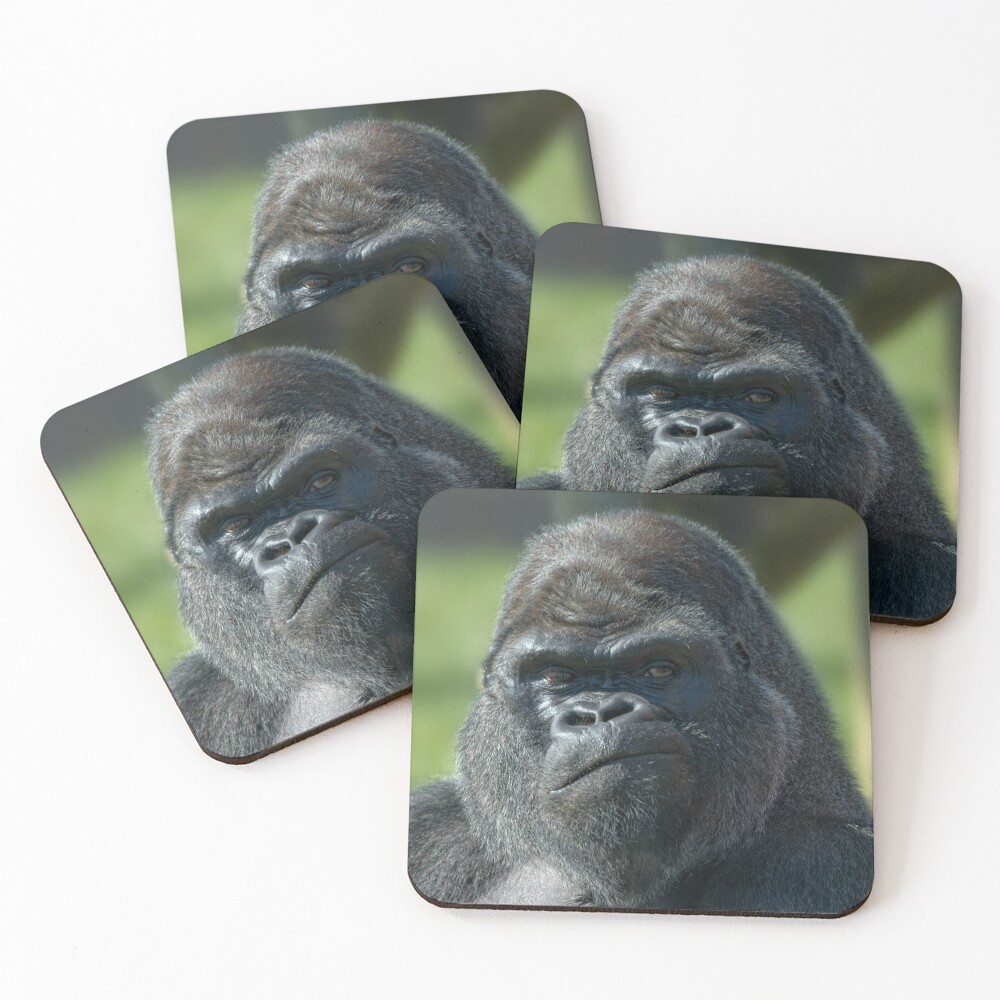 Item preview, Coasters (Set of 4) designed and sold by rawshutterbug.
