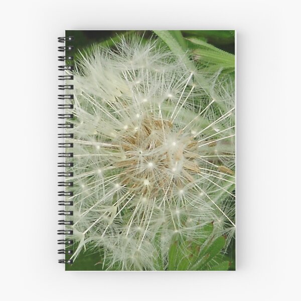 Item preview, dandelion seeds designed and sold by brucemlong.