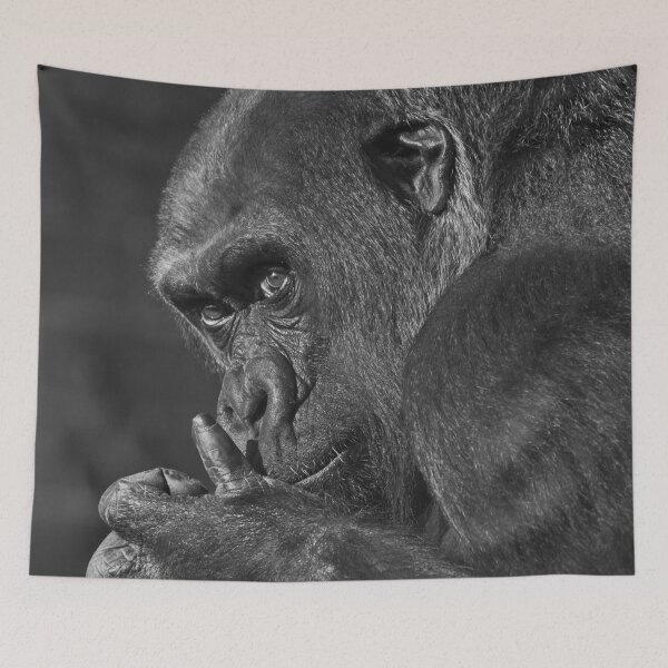 Item preview, Gorilla Asante Mono designed and sold by rawshutterbug.