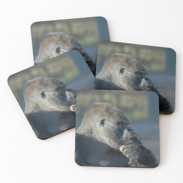 Item preview, Handsome Silverback designed and sold by rawshutterbug.