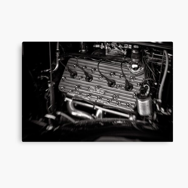 Flat Attack Flat Head Canvas Print