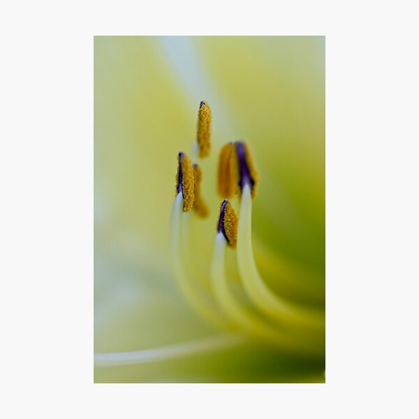 Item preview, Be Happy  -life is to short :)))))) designed and sold by Nina  Matthews Photography.