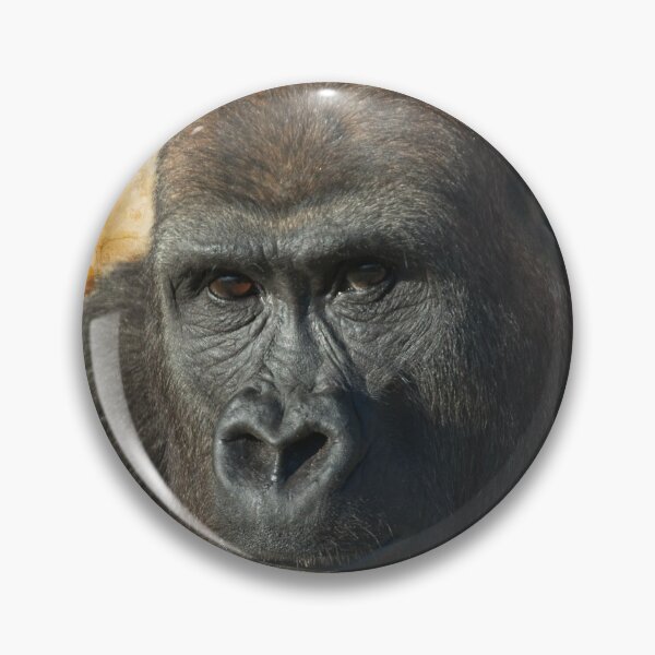 Item preview, Gorilla Lope Close-Up designed and sold by rawshutterbug.