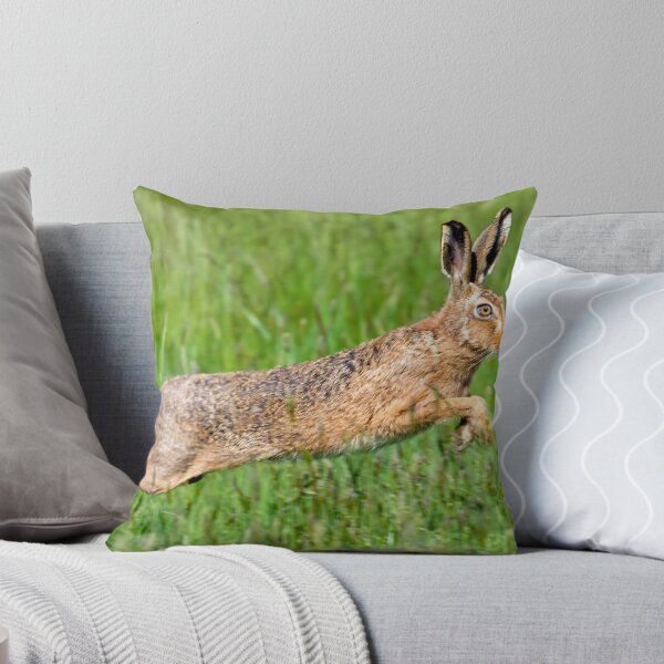 Item preview, Hare leaping through the grass designed and sold by Itsgrimupnorth.