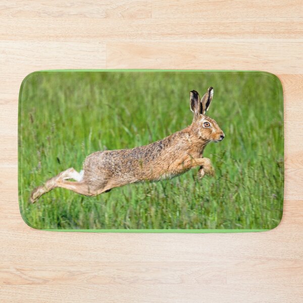 Item preview, Hare leaping through the grass designed and sold by Itsgrimupnorth.