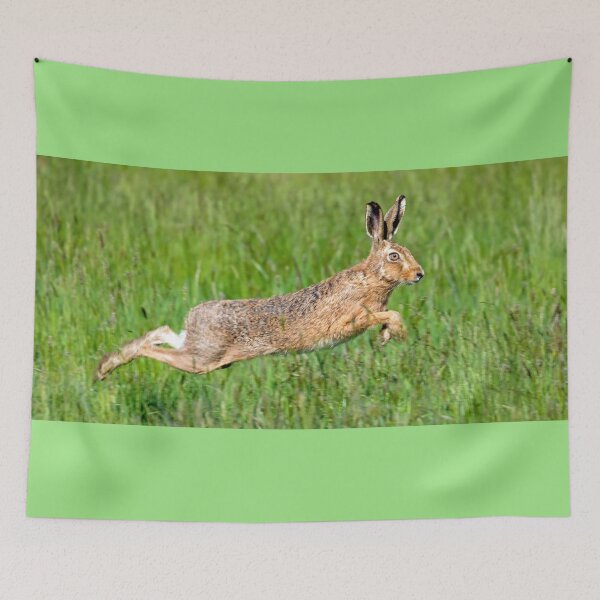 Item preview, Hare leaping through the grass designed and sold by Itsgrimupnorth.