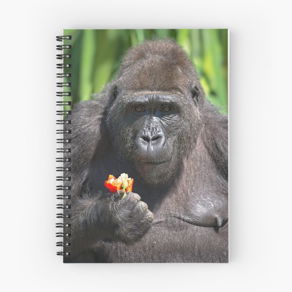 Artikelvorschau, Gorilla liebt ihren Pfeffer entworfen und verkauft von rawshutterbug.