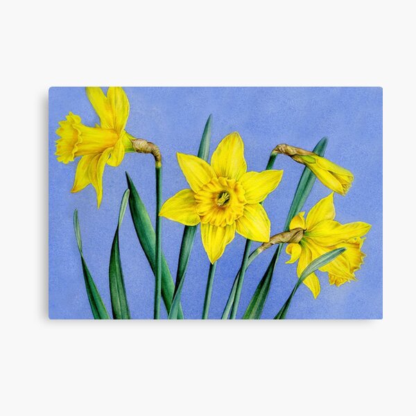 Item preview, Yellow Daffodils Watercolor designed and sold by Sarah Trett.
