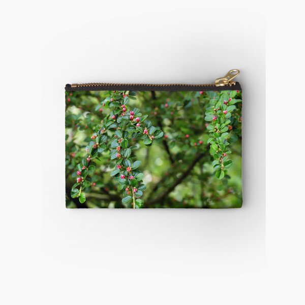 Item preview, Cranberry Cotoneaster in bloom designed and sold by annalisa56.