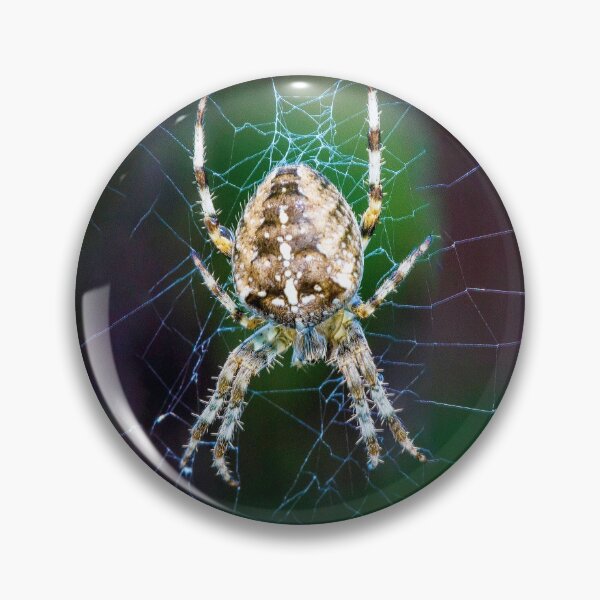 Item preview, Spider making a web designed and sold by Itsgrimupnorth.