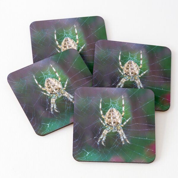 Item preview, Spider making a web designed and sold by Itsgrimupnorth.