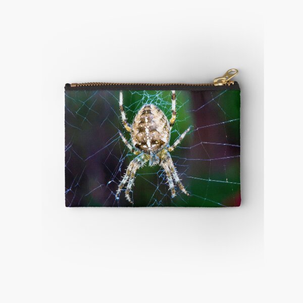 Item preview, Spider making a web designed and sold by Itsgrimupnorth.