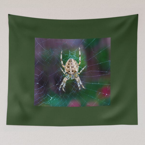 Item preview, Spider making a web designed and sold by Itsgrimupnorth.