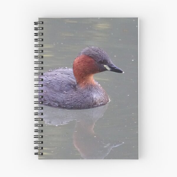 Item preview, Little Grebe designed and sold by KcsArt87.