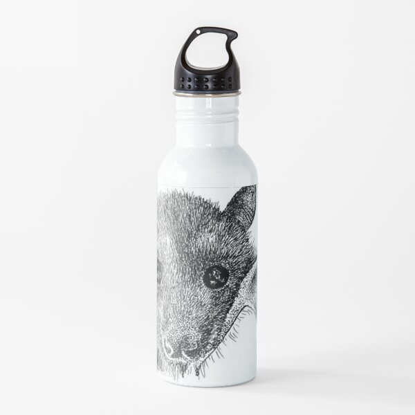 Black Flying Fox Bat In Black And White. Water Bottle