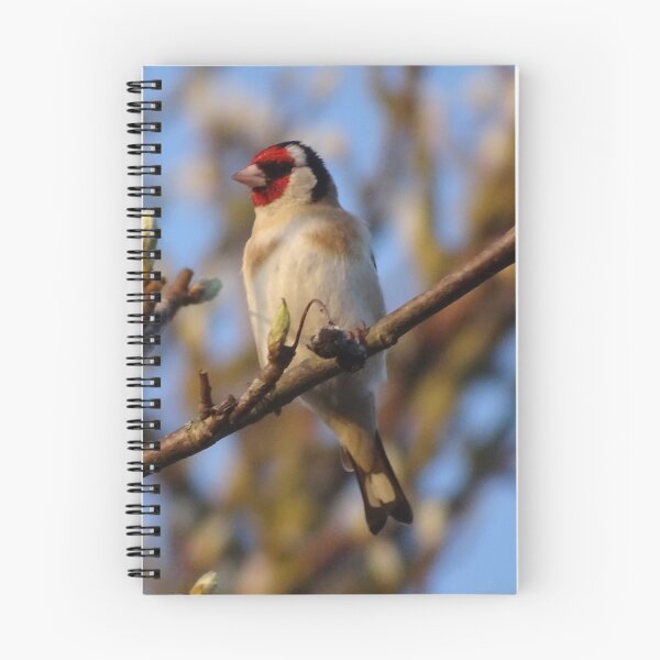 Item preview, Goldfinch designed and sold by KcsArt87.