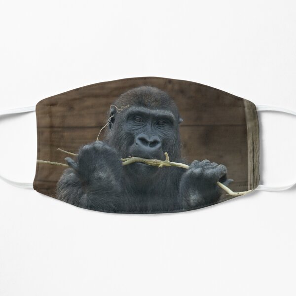 Gorilla Lope Mit Einem Stock Flache Maske