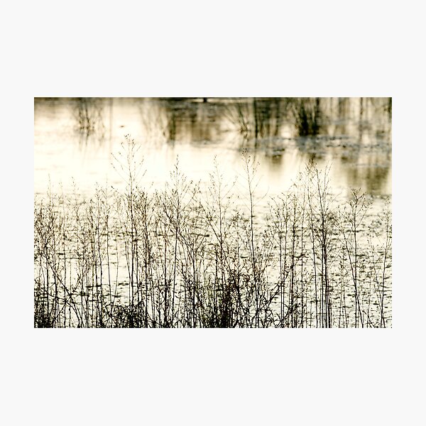 Item preview, Soft......... designed and sold by Nina  Matthews Photography.