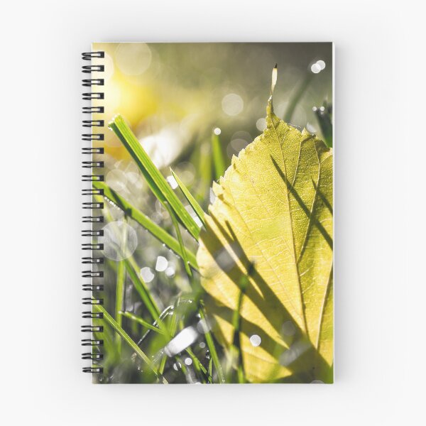 Item preview, Yellow leaf in grass in autumn with morning dew bokeh designed and sold by Grégory DUBUS.