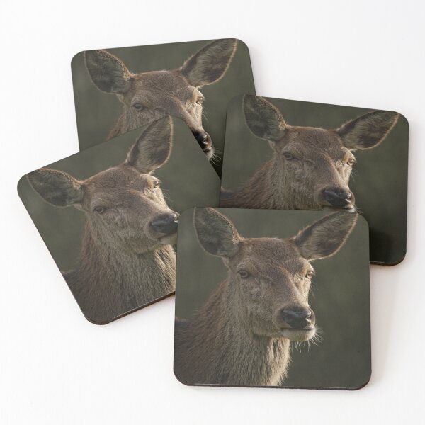 Item preview, Portrait Of A Wild Red Deer designed and sold by rawshutterbug.