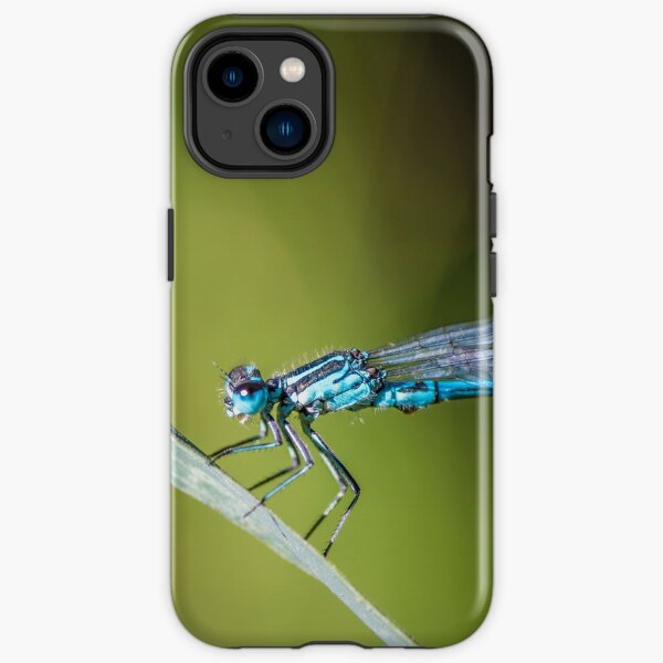 Insecte libellule bleue perché sur une herbe avec un petit escargot Coque antichoc iPhone