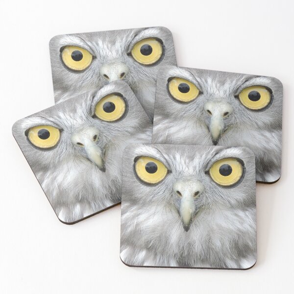 Item preview, I'm looking at you - Barking Owl designed and sold by Lesley Wilson.