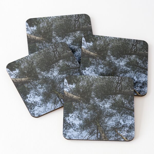Item preview, Pine Tree Treetops designed and sold by rawshutterbug.