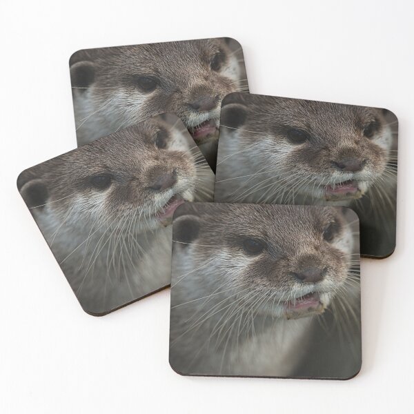 Item preview, Otterly Sweet Face designed and sold by rawshutterbug.