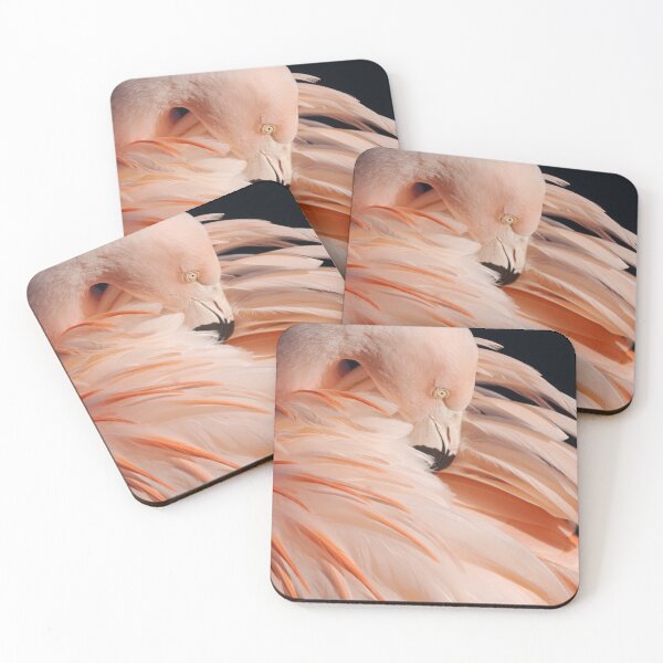 Item preview, Portrait Of A Flamingo designed and sold by rawshutterbug.