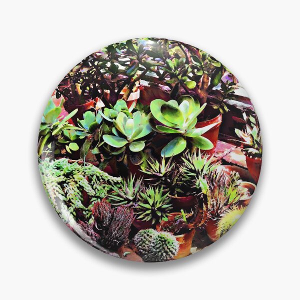 Item preview, Many Varieties of Cactus designed and sold by Susan Savad.