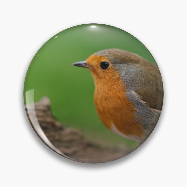Item preview, Robin Redbreast designed and sold by rawshutterbug.