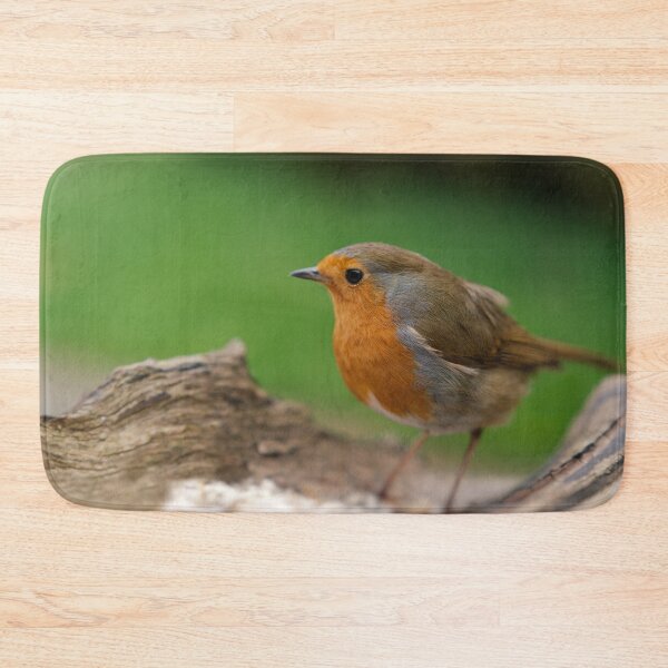 Artikelvorschau, Robin Redbreast entworfen und verkauft von rawshutterbug.