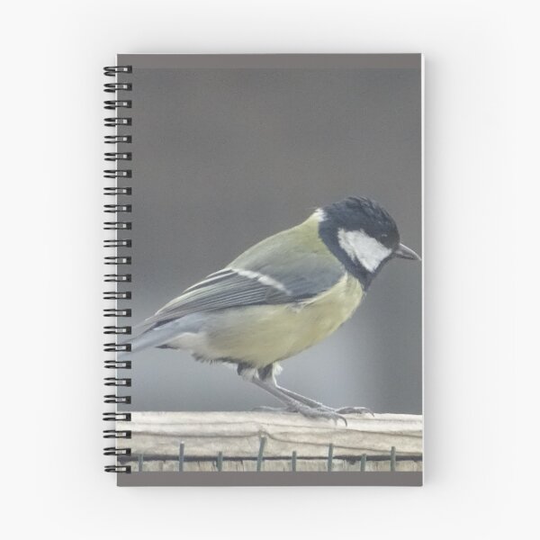 Item preview, Great Tit designed and sold by KcsArt87.