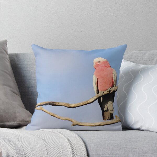 Item preview, Flamin Galah designed and sold by CBoyle.