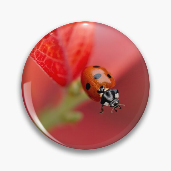 Item preview, Ladybird On An Autumn Leaf designed and sold by rawshutterbug.