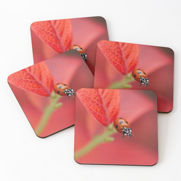 Item preview, Ladybird On An Autumn Leaf designed and sold by rawshutterbug.
