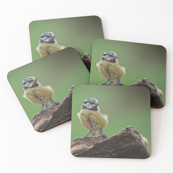 Item preview, Scruffy Juvenile Blue Tit designed and sold by rawshutterbug.