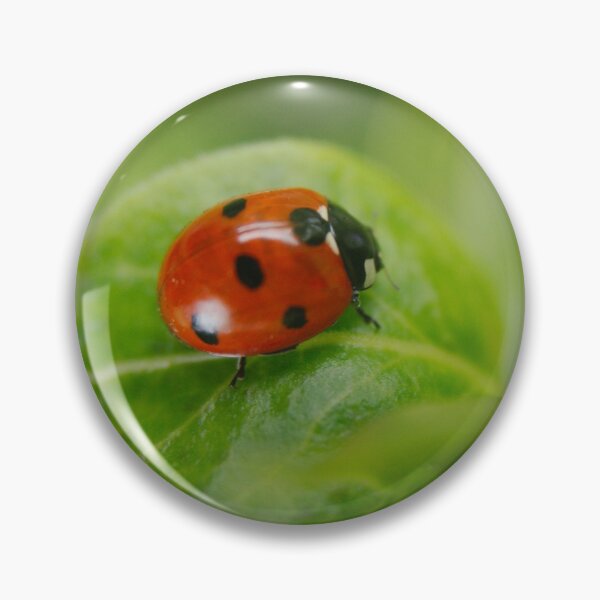 Item preview, Ladybird designed and sold by rawshutterbug.