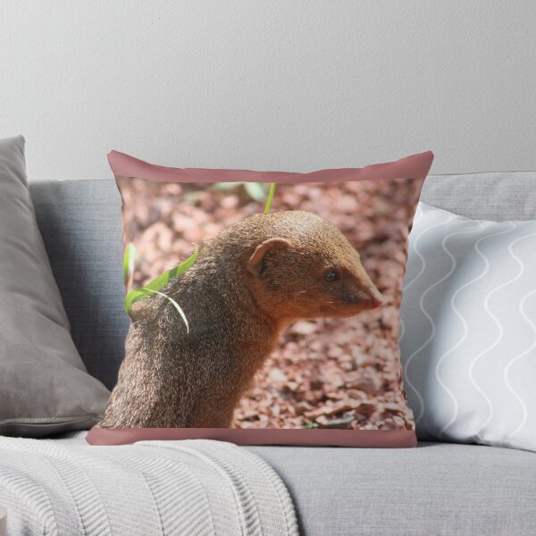 Item preview, Dwarf Mongoose designed and sold by KcsArt87.