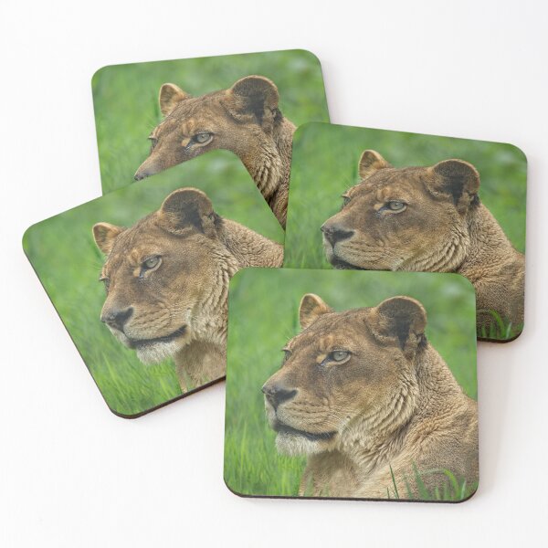 Item preview, Lioness Portrait designed and sold by rawshutterbug.