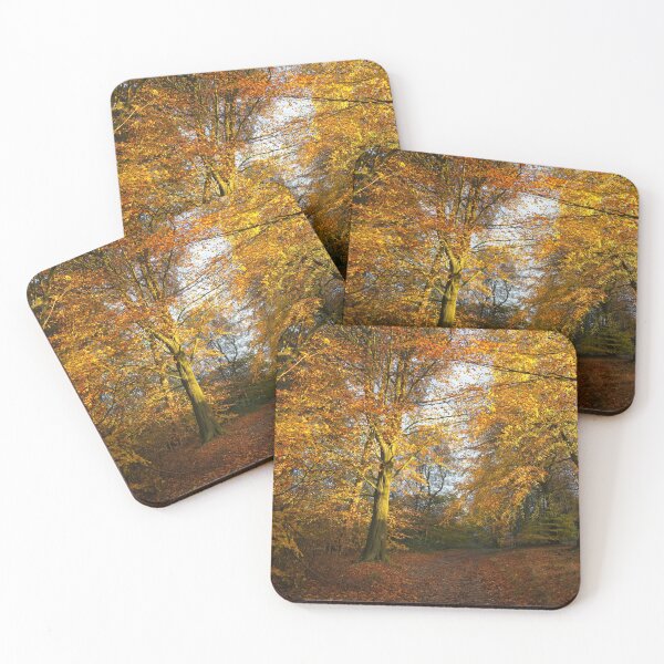 Item preview, Forest Walk With Dazzling Autumn Colours designed and sold by rawshutterbug.