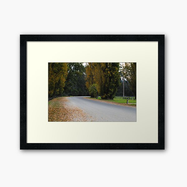 Rest Stop - Border Security - Genoa, New South Wales Framed Art Print