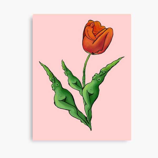 Tulip Canvas Print