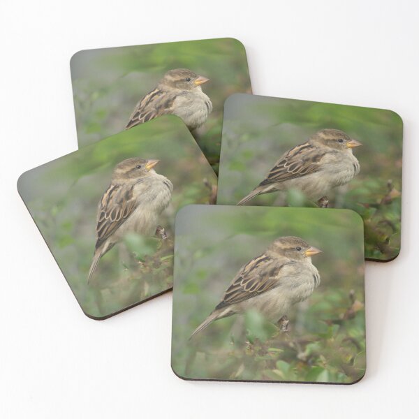 Item preview, Hedge Sparrow designed and sold by rawshutterbug.
