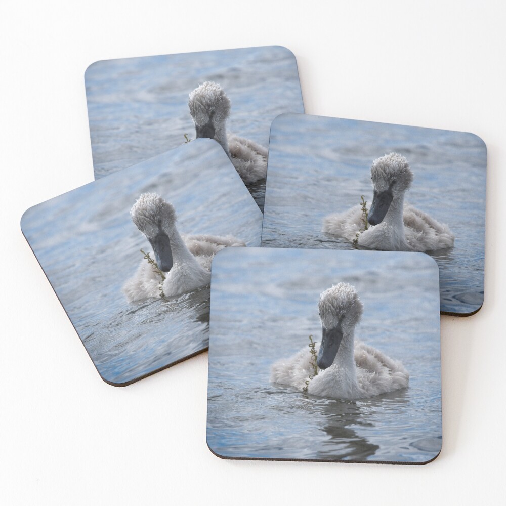 Item preview, Coasters (Set of 4) designed and sold by rawshutterbug.