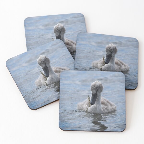 Item preview, Cygnet designed and sold by rawshutterbug.