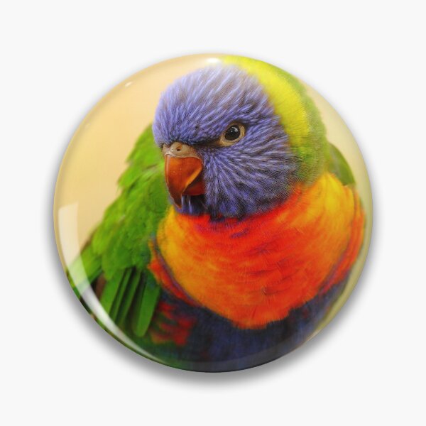 Item preview, All The Colours Of The Rainbow...... Lorikeet designed and sold by CBoyle.